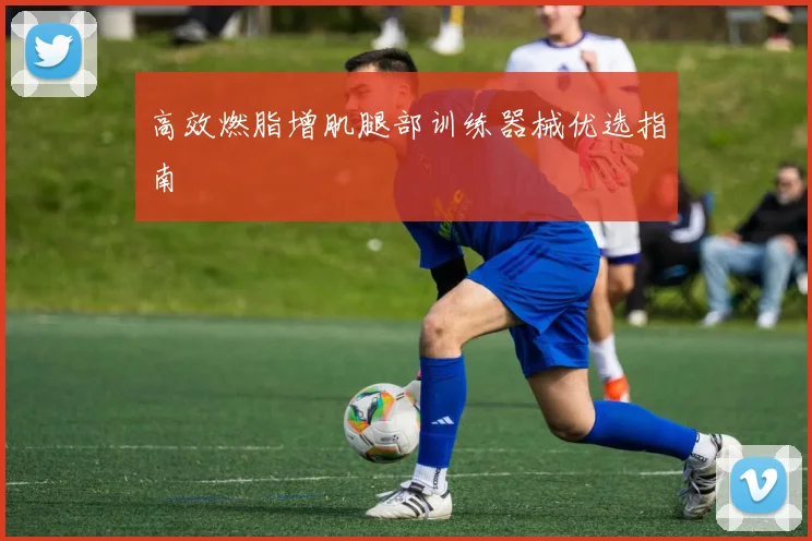 高效燃脂增肌腿部训练器械优选指南