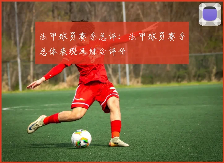 法甲球员赛季总评：法甲球员赛季总体表现及综合评价